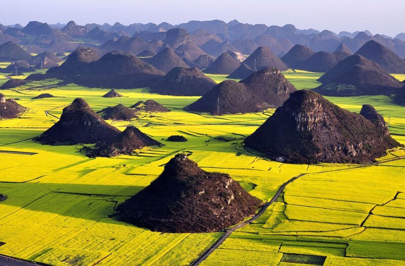 Рапсовые поля в провинции Юньнань.