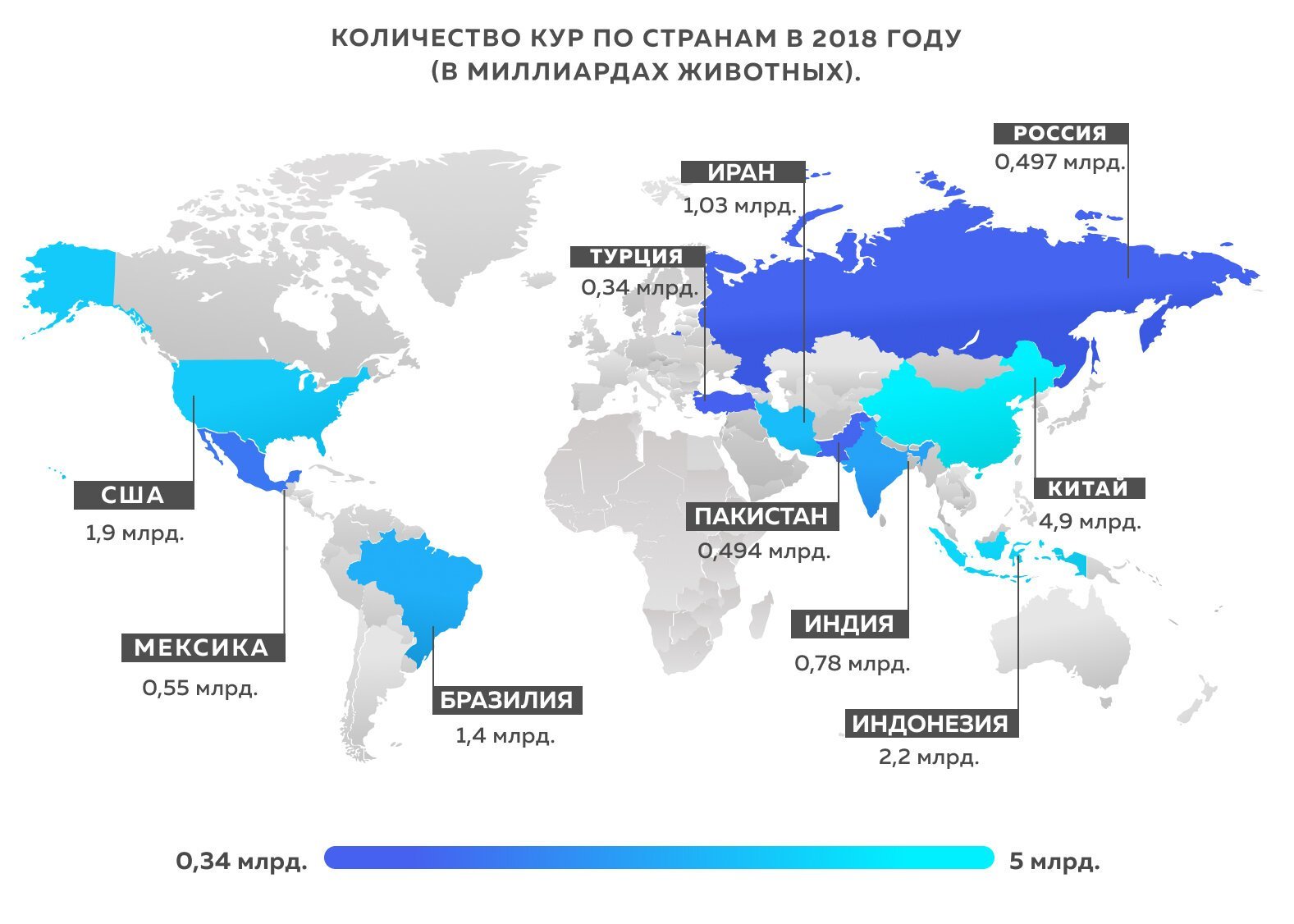 статистика больших член страна фото 70