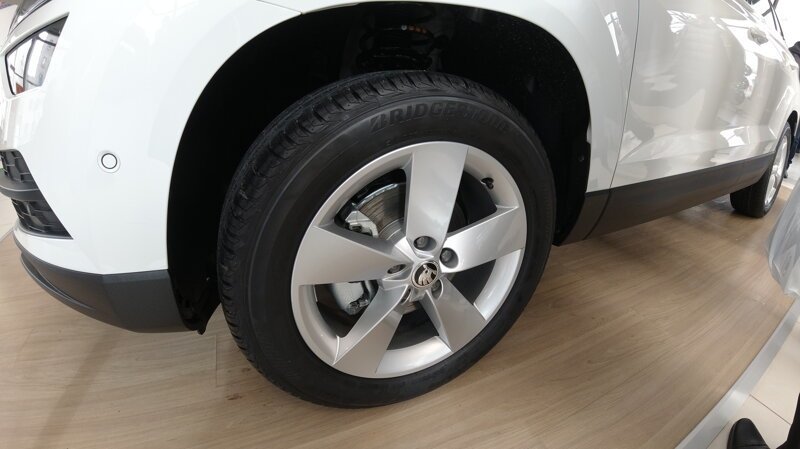 SKODA KAROQ в России. Честный обзор
