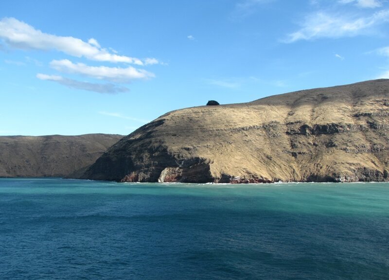 Новая Зеландия. Морские пейзажи побережья Южного острова