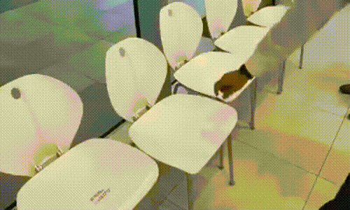 Япония не перестает удивлять