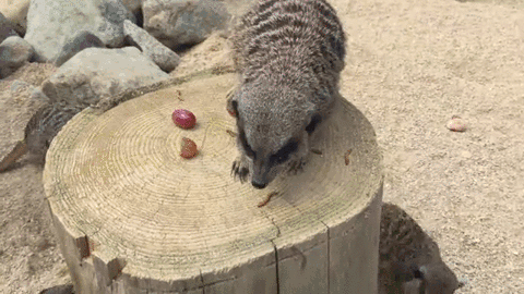 Гифки разные Гифки разные