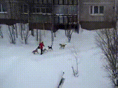 Гифки разные Гифки разные