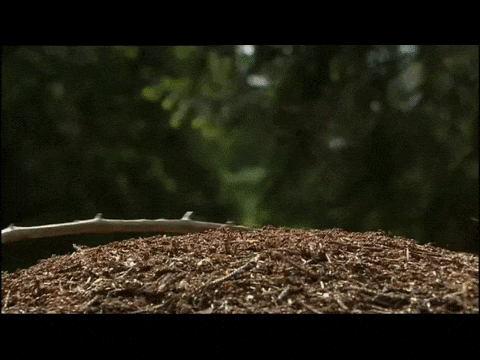 Гифки разные Гифки разные