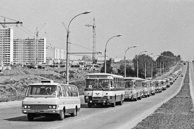 Автобусы с детьми направляются в подмосковный пионерский лагерь. 3 июня 1981 года. Фото Валентина Соболева /Фотохроника ТАСС/