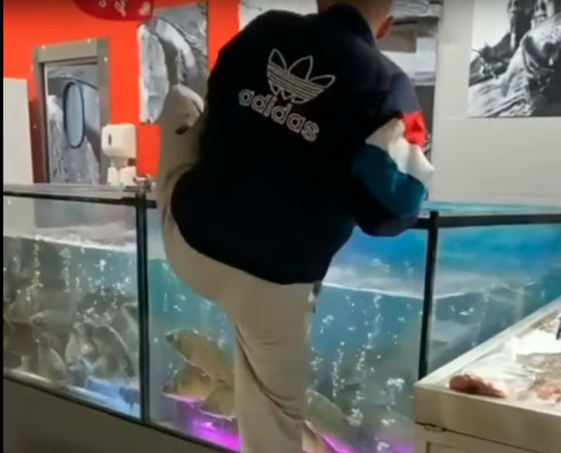 Белорусу пришлось влезть в аквариум, чтобы достать кольцо отказавшей ему девушки