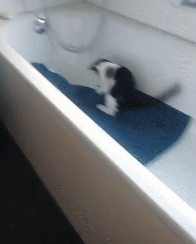 Лучшего местечка не нашел