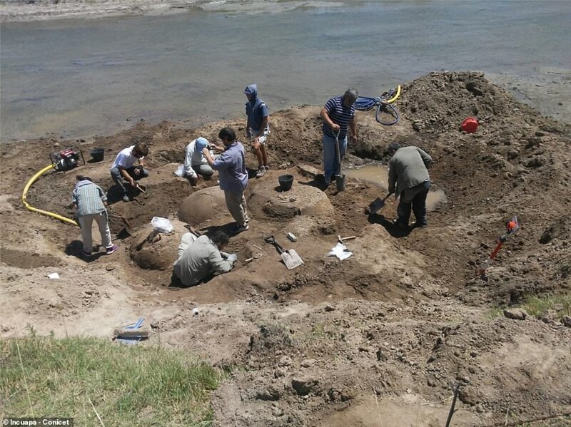 В Аргентине обнаружены панцири доисторических броненосцев размером с машину
