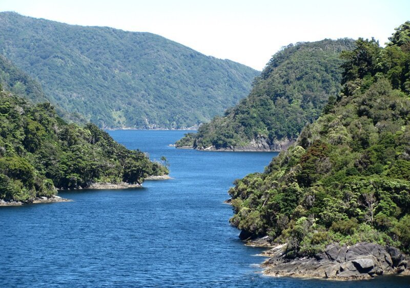 Новозеландские фьорды Dusky Sound, Thompson sound и Milford Sound