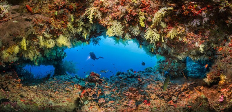 Коралловые заросли южных Мальдив