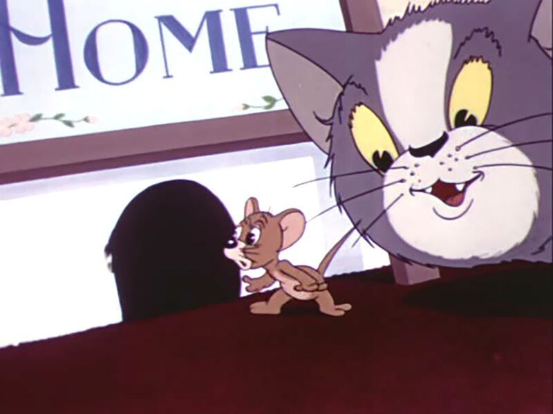 80 лет назад, 20 февраля 1940 года на телеэкраны США вышла первая серия (всего их 164) популярного короткометражного мультсериала "Том и Джерри"