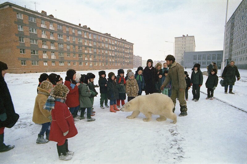 Медведица Айка и её хозяин, известный кинодокументалист Юрий Янович Ледин. Норильск 1975 год. 