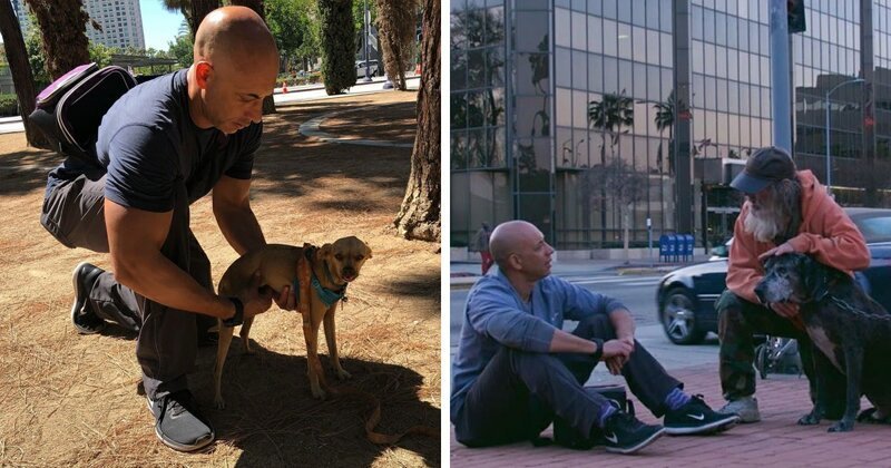 Добрый доктор Айболит: ветеринар бесплатно лечит животных на улице