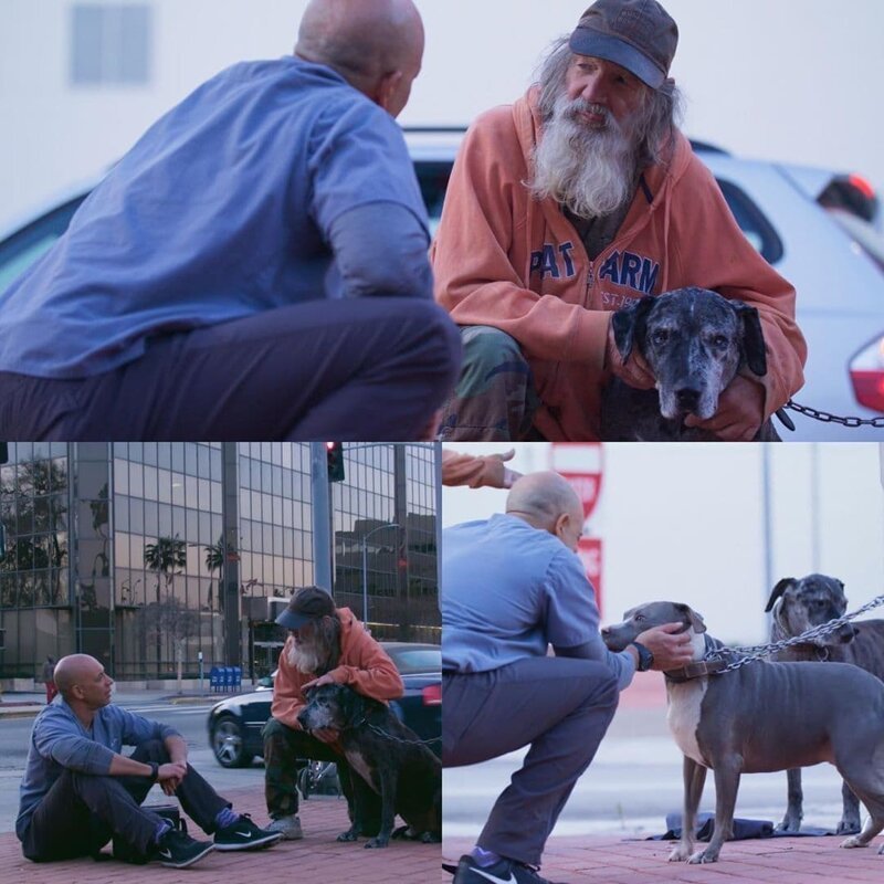 Добрый доктор Айболит: ветеринар бесплатно лечит животных на улице