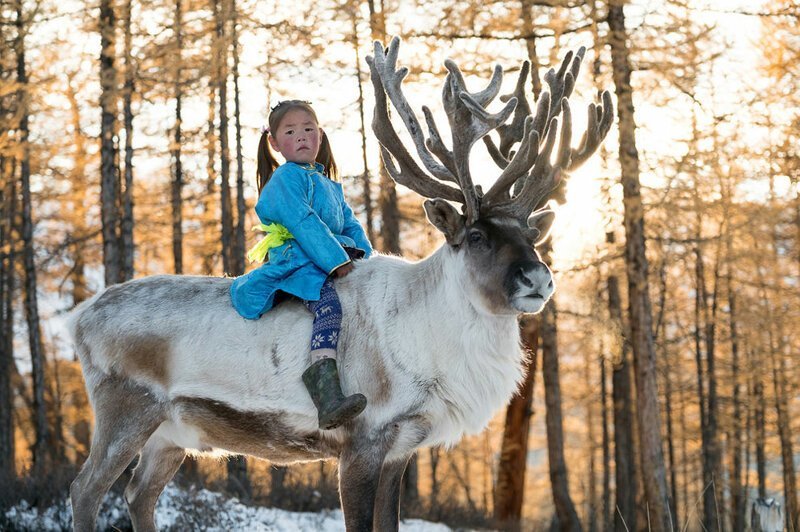 Маленькая Укра уже может ездить на олене, который принадлежит ее семье.