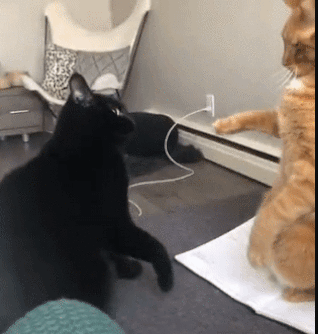 Исцеляет от болезней