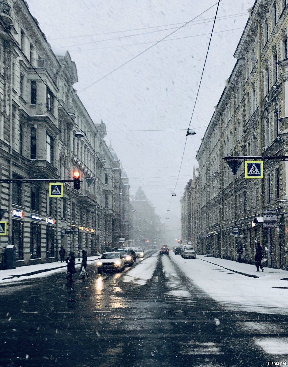 Февраль спб. Питер завалило снегом. Санкт Петербурга завален снегом. Питер в феврале. Февраль в Петербурге снег.