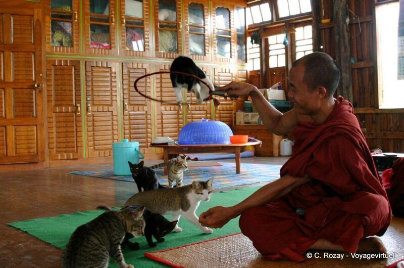 Мьянма. Инле. Нга Пхе Чьяунг - «монастырь прыгающих кошек»