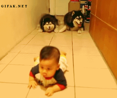 Гифки разные