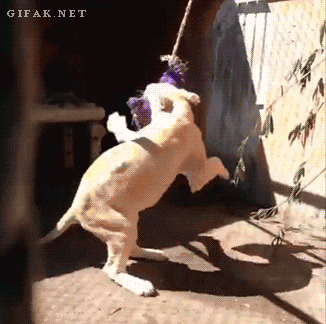 Гифки разные