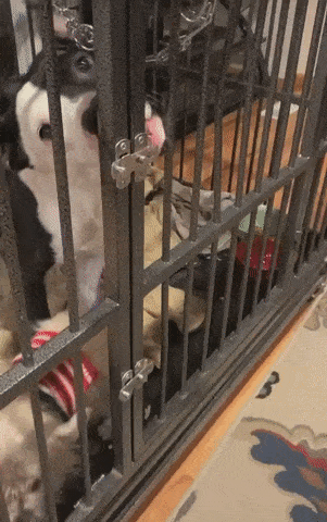 Гифки разные