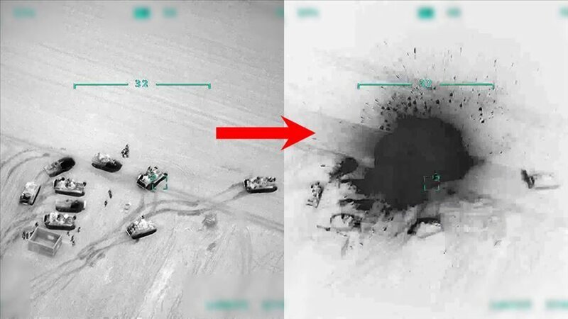 Животные берегов не видят. Турция: готова получить