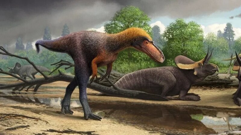 7) Маленький кузен T.rex’а  92 миллиона лет назад