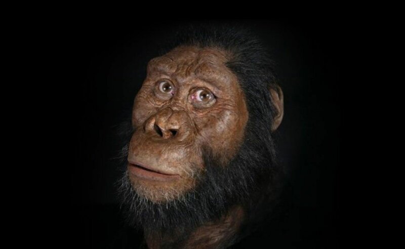 9) Лицом к лицу  3,8 миллиона лет назад .