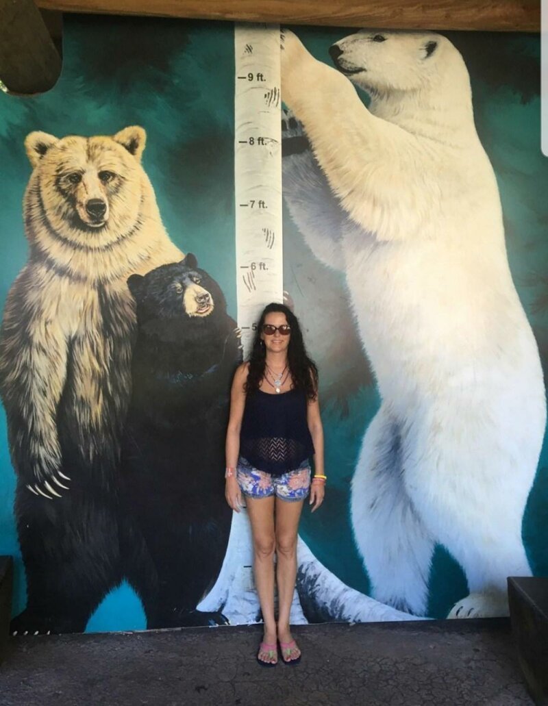 А насколько велик медведь по сравнению с человеком?
