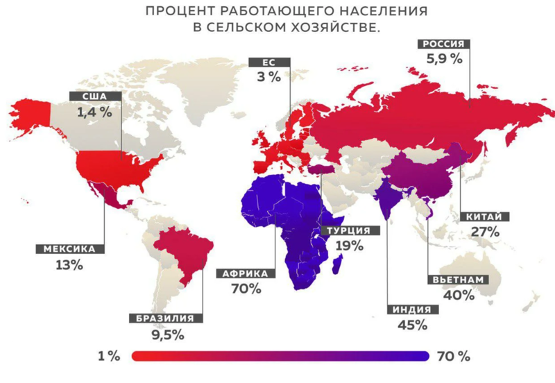 Процент работающего в сельском хозяйстве населения