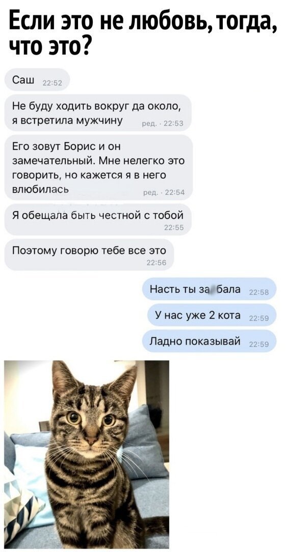 Смешные картинки отправить парню