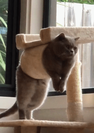 Кажется, домик стал маловат