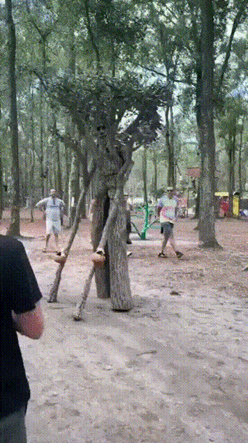 Солянка