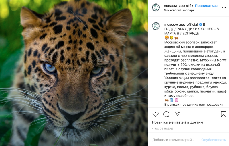 8 марта в зоопарк Москвы пустят бесплатно женщин в леопардовых лосинах