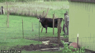 Гифки разные