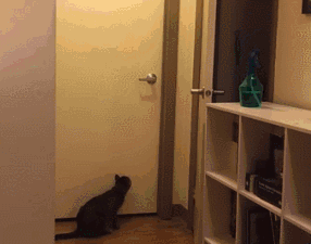 Гифки разные Гифки разные