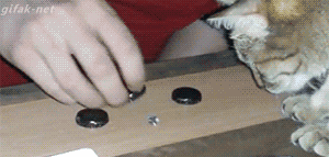 Гифки разные Гифки разные