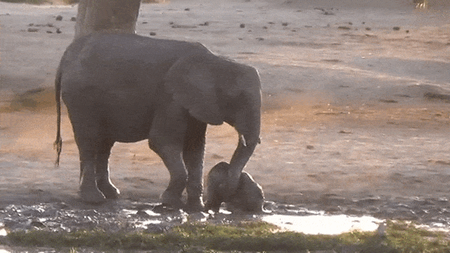 Гифки разные Гифки разные