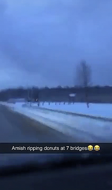 Гифки Гифки