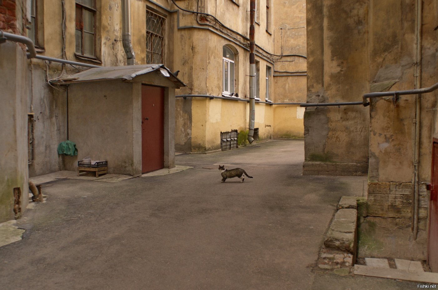 Фото со двора. Дворы Никитского бульвара. Старый двор. Старые российские дворы. Фон старого двора.