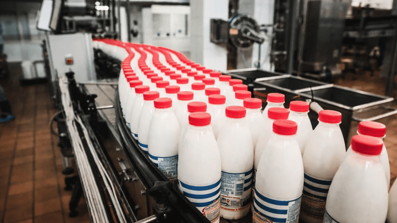 Экспорт молочной продукции вырос на 4%