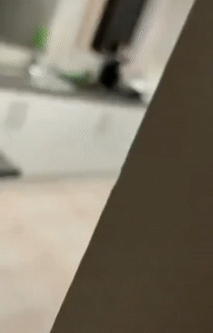 Фольга как способ отучить кота запрыгивать на стол