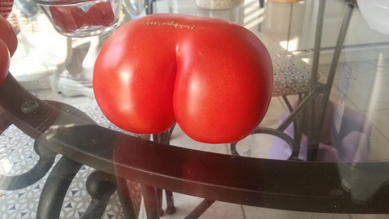 Эротичный томат