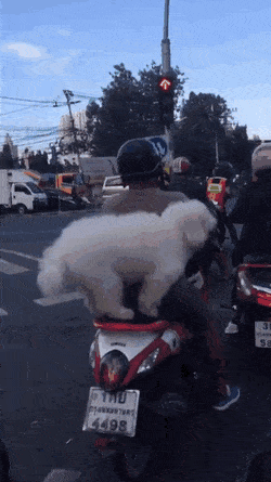 Подборка автомобильных гифок Подборка автомобильных гифок