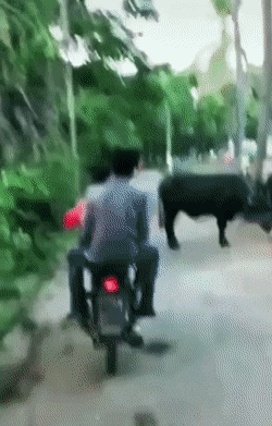 Подборка автомобильных гифок Подборка автомобильных гифок