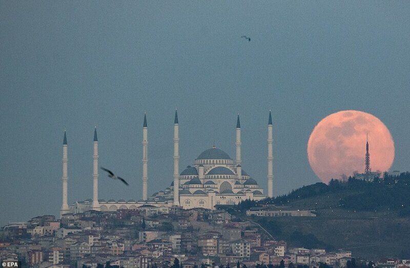 Мечеть Чамлыка, Стамбул, Турция