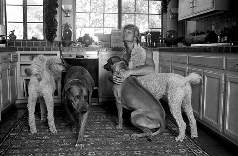 Патрик Суэйзи со своими собаками. 26 августа 1991