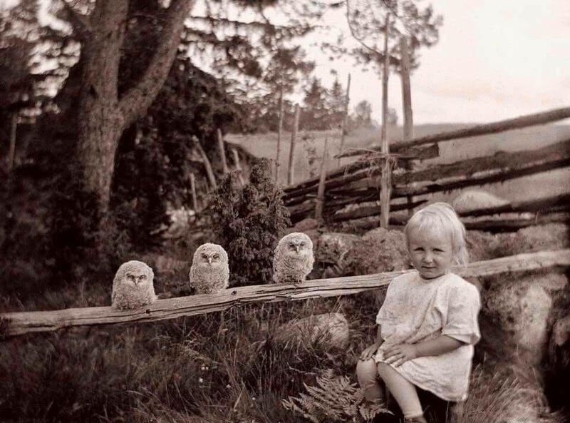 Девочка со своими домашними любимцами 1925