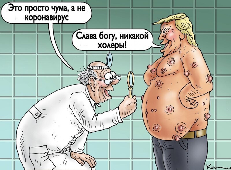 Политические комментарии из инета