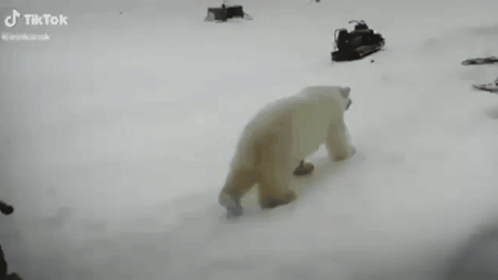 Гифки разные Гифки разные